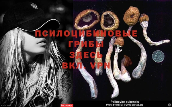 гидропоника Богородицк