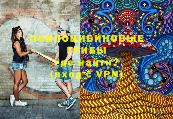 гидропоника Богородицк